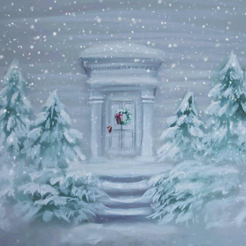 Winter Wonderland Door - HSD Photography Backdrops 
