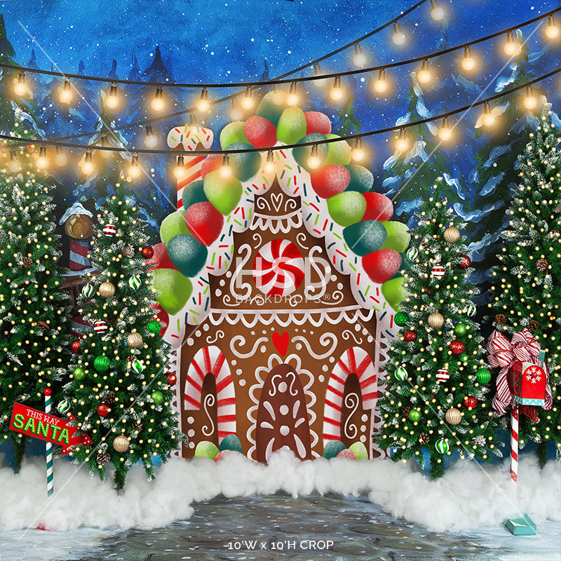 Gingerbread House Winter Wonderland - HSD Photography Backdrops 