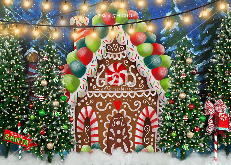 Gingerbread House Winter Wonderland - HSD Photography Backdrops 