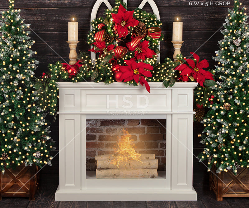 Christmas Poinsettias (small) - HSD Photography Backdrops 