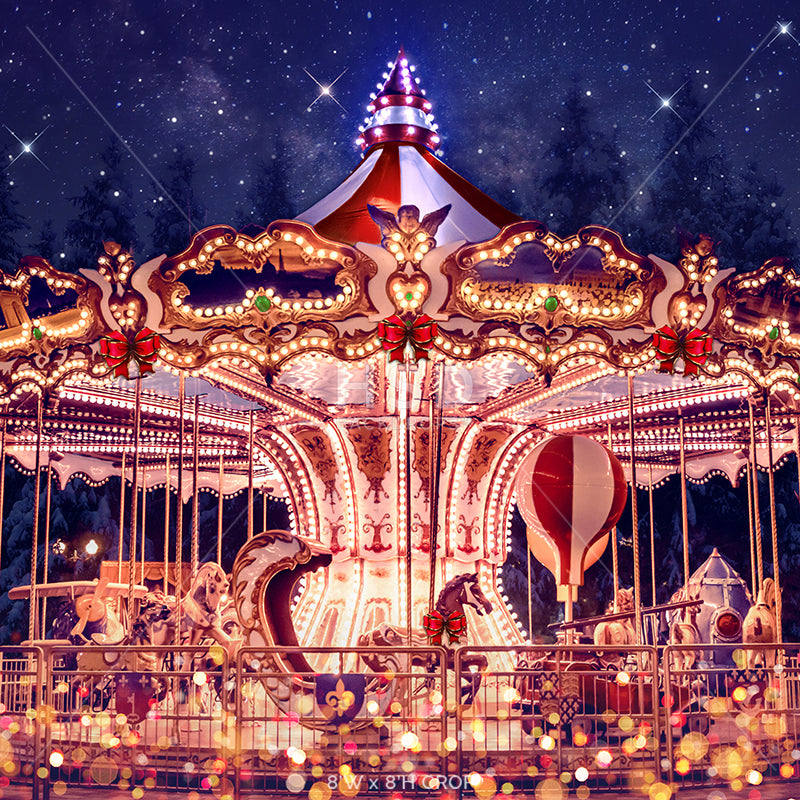 Winter Wonderland Carousel - HSD Photography Backdrops 