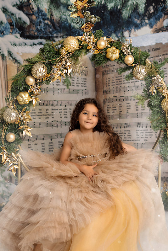 Christmas Carols - HSD Photography Backdrops 