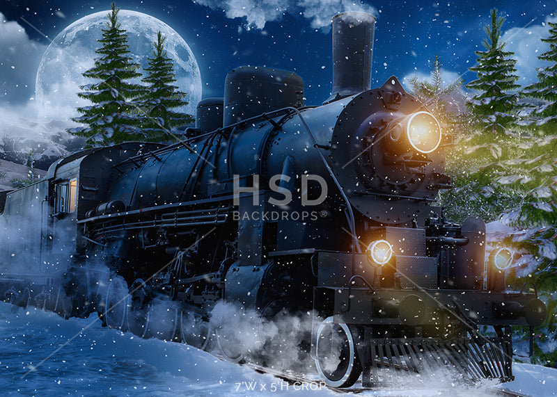 Winter Express Train - HSD Photography Backdrops 