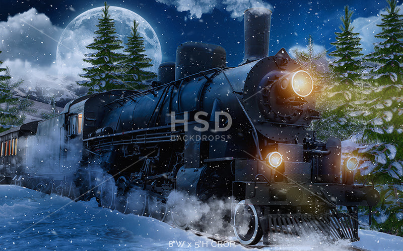 Winter Express Train - HSD Photography Backdrops 