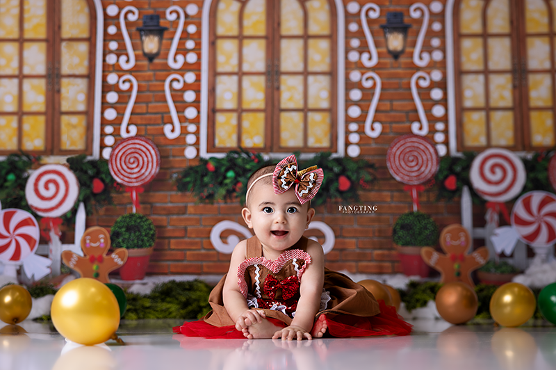 Gingerbread House Wall - HSD Photography Backdrops 