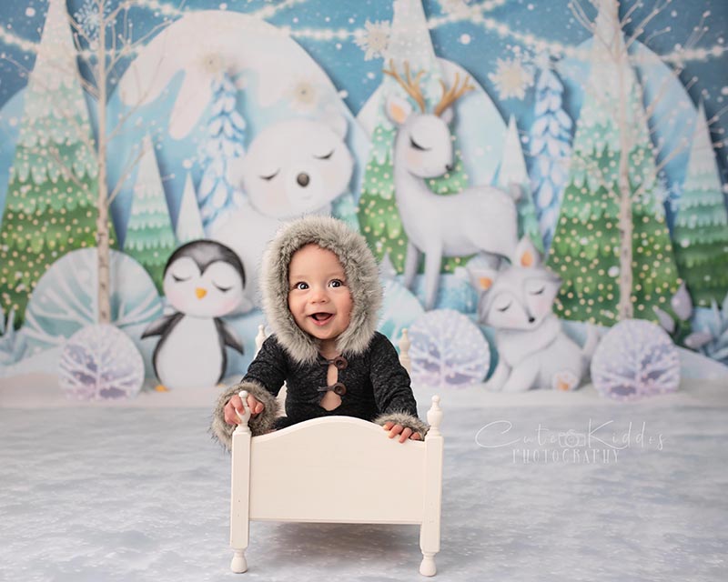 Artic Animals - HSD Photography Backdrops 