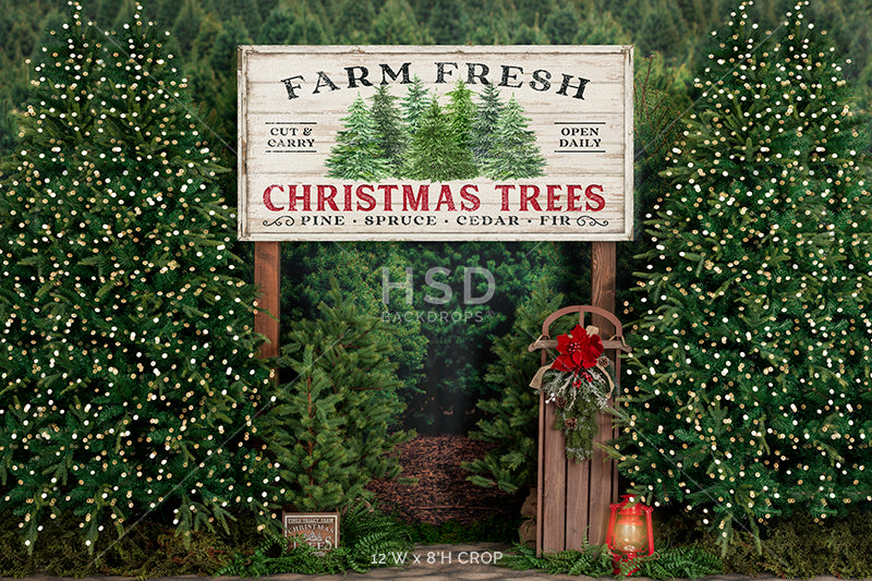 Farm Free Christmas Trees (decorated) - HSD Photography Backdrops 