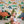 Dinosaur Set Up - HSD Photography Backdrops 