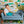 Dinosaur Set Up - HSD Photography Backdrops 