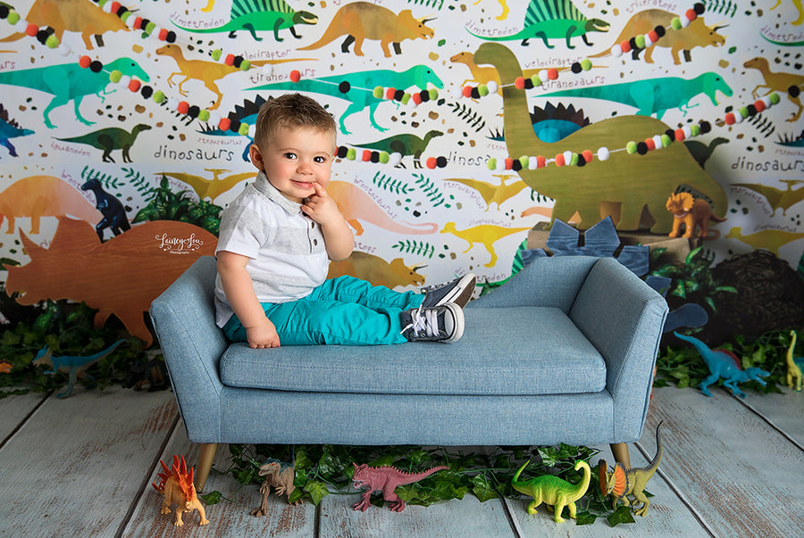 Dinosaur Set Up - HSD Photography Backdrops 