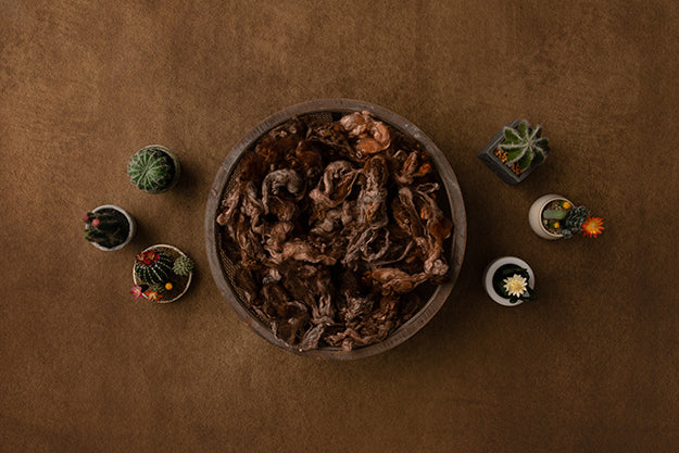 Newborn Digital Backdrop | Cactus Garden - HSD Photography Backdrops 