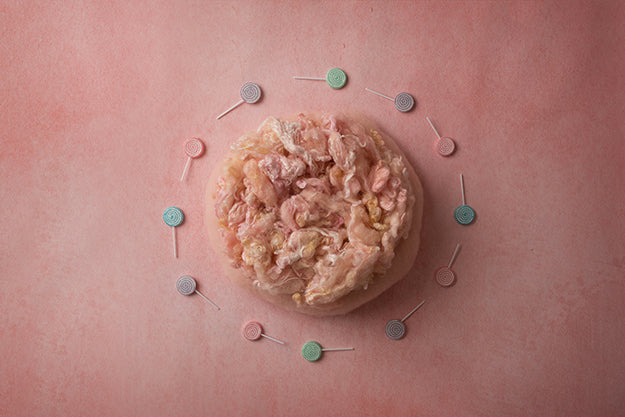 Lollipops | Candyland Coll. | Digital - HSD Photography Backdrops 