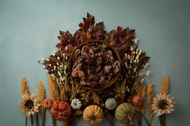 Celebrate Autumn | Autumn Days Coll. | Digital - HSD Photography Backdrops 
