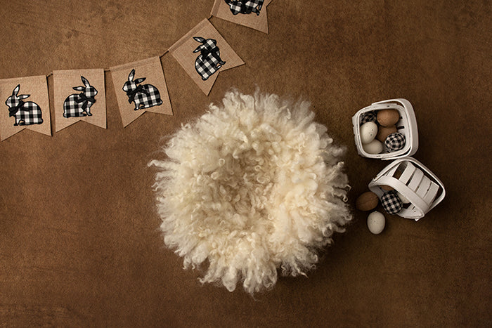 Checkered Bunny Basket III - HSD Photography Backdrops 