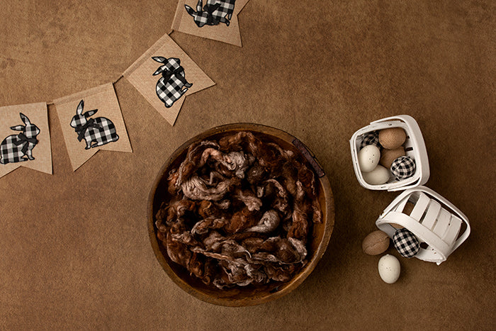 Checkered Bunny Basket II - HSD Photography Backdrops 