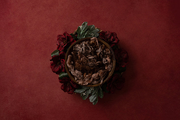 Christmas Floral | Joy to the Wold Coll. | Digital - HSD Photography Backdrops 