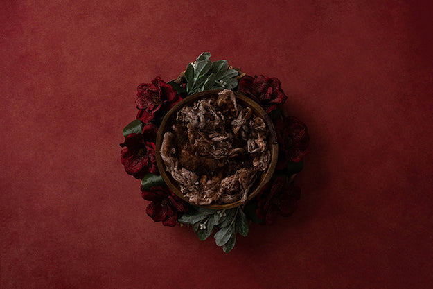 Christmas Floral | Joy to the Wold Coll. | Digital - HSD Photography Backdrops 