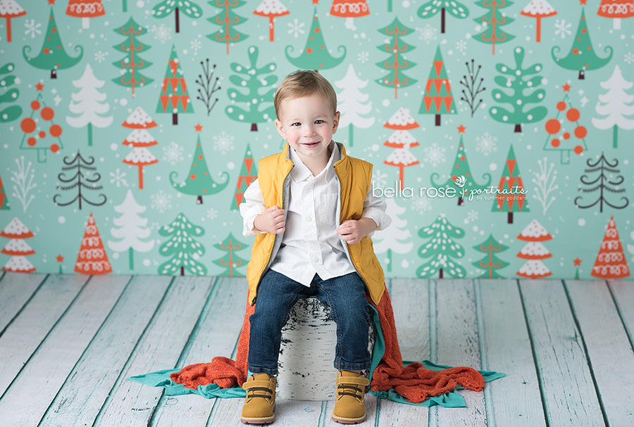 Winter | Christmas Tree Lot - HSD Photography Backdrops 