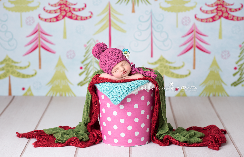 Holiday | Colorful Christmas Trees - HSD Photography Backdrops 