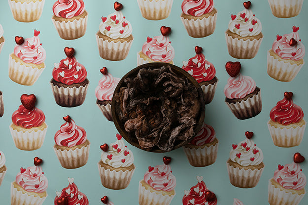Newborn Digital Backdrop | Cupcake Cutie I - HSD Photography Backdrops 