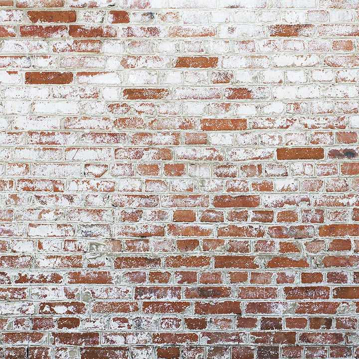 Red & White Brick Wall - HSD Photography Backdrops 
