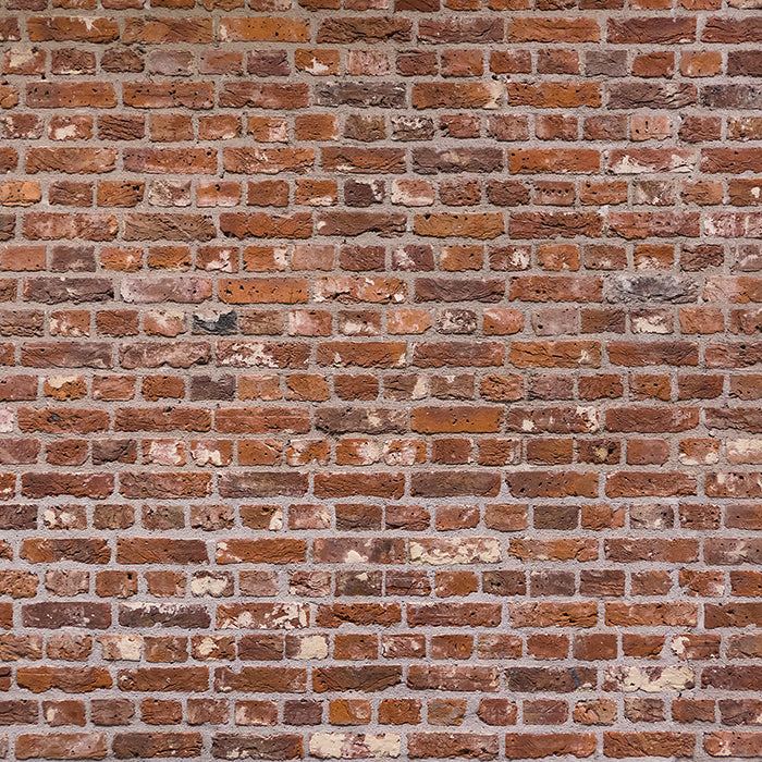 Distressed Brick - HSD Photography Backdrops 