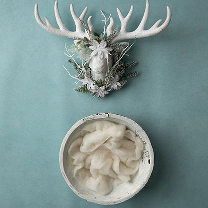 Deck the Walls | 'Tis the Season Coll. | Digital - HSD Photography Backdrops 
