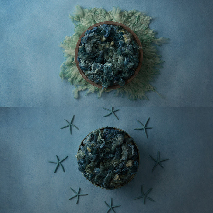 Denim Starfish Collection | Digital - HSD Photography Backdrops 