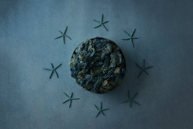 Star of the Sea | Denim Starfish Coll. | Digital - HSD Photography Backdrops 