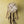 Dream Catcher Collection | Digital - HSD Photography Backdrops 