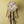 Follow Your Dreams | Dream Catcher Coll. | Digital - HSD Photography Backdrops 