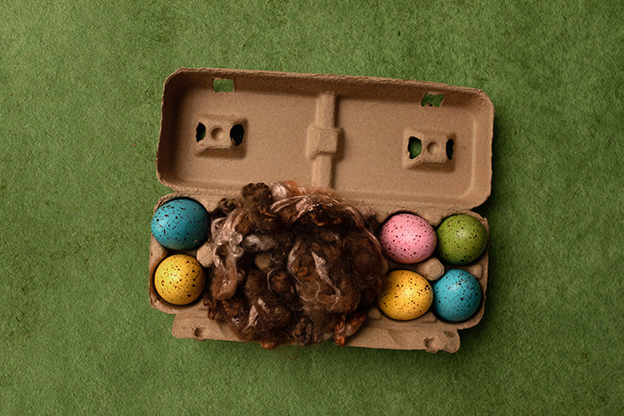 Easter Egg Carton - HSD Photography Backdrops 