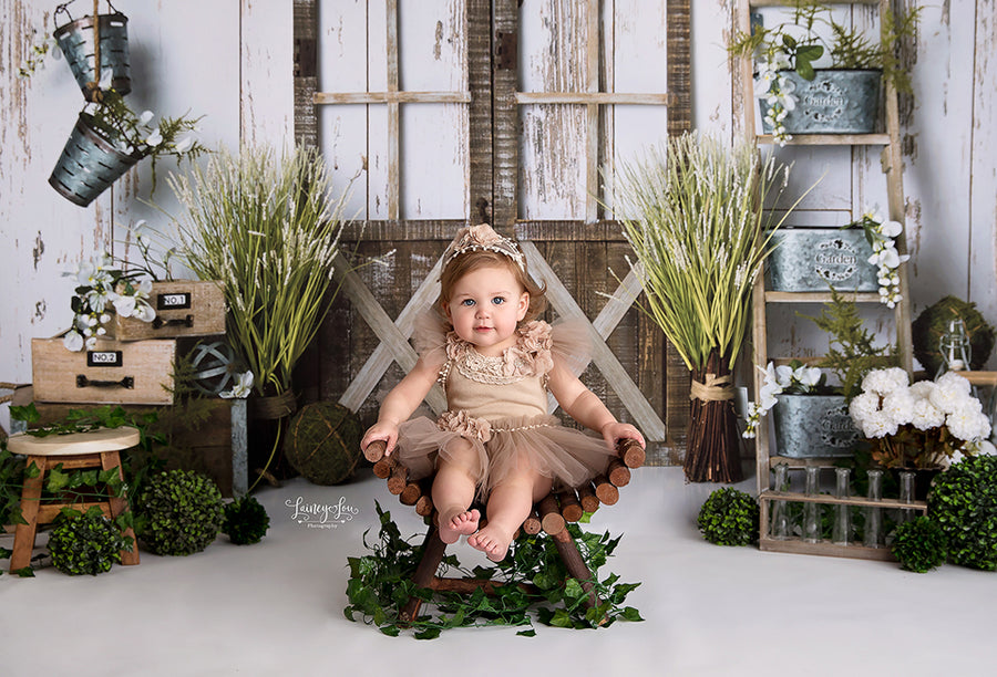 Signs of Spring - HSD Photography Backdrops 