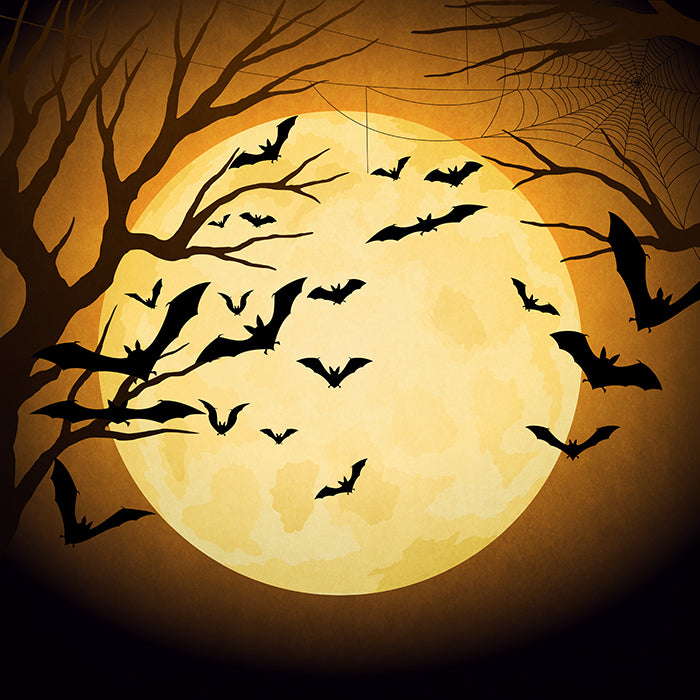 Halloween Night - HSD Photography Backdrops 