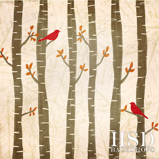 Autumn Woodland - HSD Photography Backdrops 