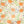 Pumpkin Patch - HSD Photography Backdrops 