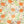 Pumpkin Patch - HSD Photography Backdrops 