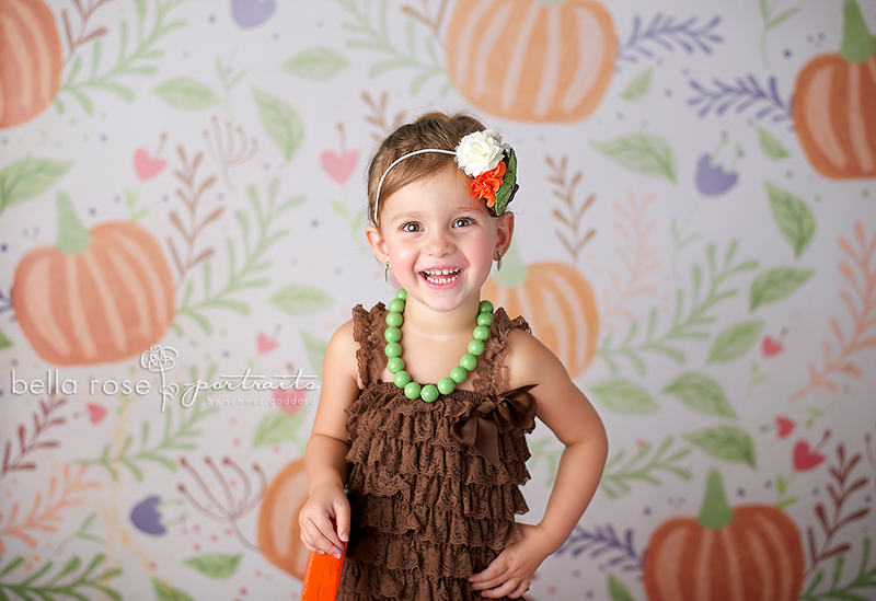 Pumpkin Patch - HSD Photography Backdrops 