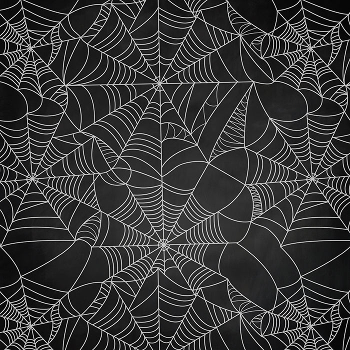 Cobwebs (Black) - HSD Photography Backdrops 