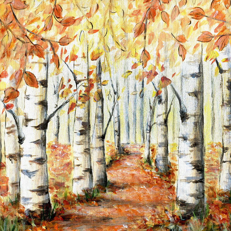 Autumn Birch Trees - HSD Photography Backdrops 