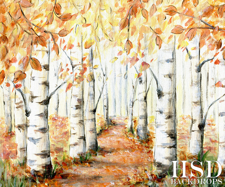 Autumn Birch Trees - HSD Photography Backdrops 