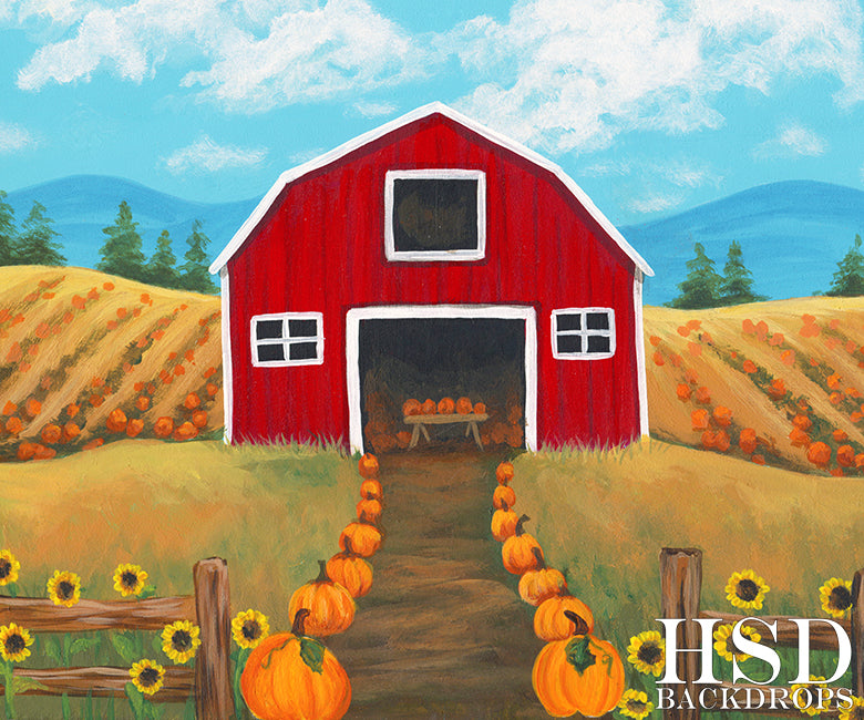 Country Pumpkins - HSD Photography Backdrops 