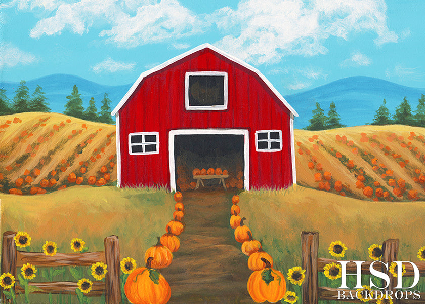 Country Pumpkins - HSD Photography Backdrops 