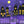 Haunted Village - HSD Photography Backdrops 