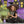 Haunted Village - HSD Photography Backdrops 