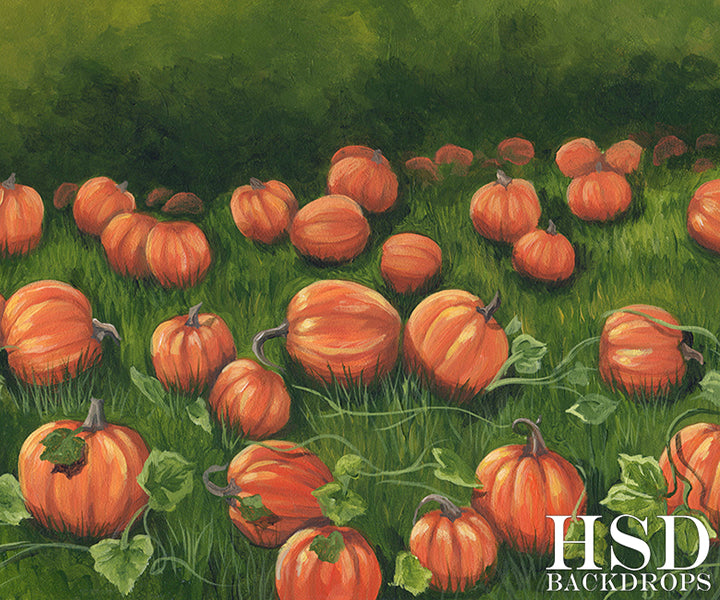 Pumpkin Field - HSD Photography Backdrops 