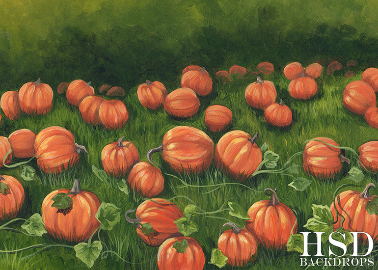 Pumpkin Field - HSD Photography Backdrops 