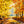 Autumn Woods - HSD Photography Backdrops 