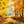 Autumn Woods - HSD Photography Backdrops 