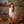 Harvest Season Fall Photo Background - HSD Photography Backdrops 